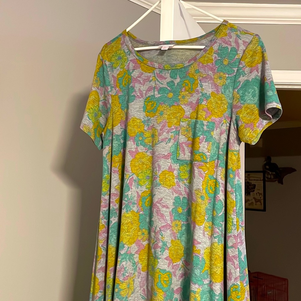 LulaRoe Carly Dress.